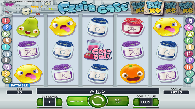 Fruit Case 5